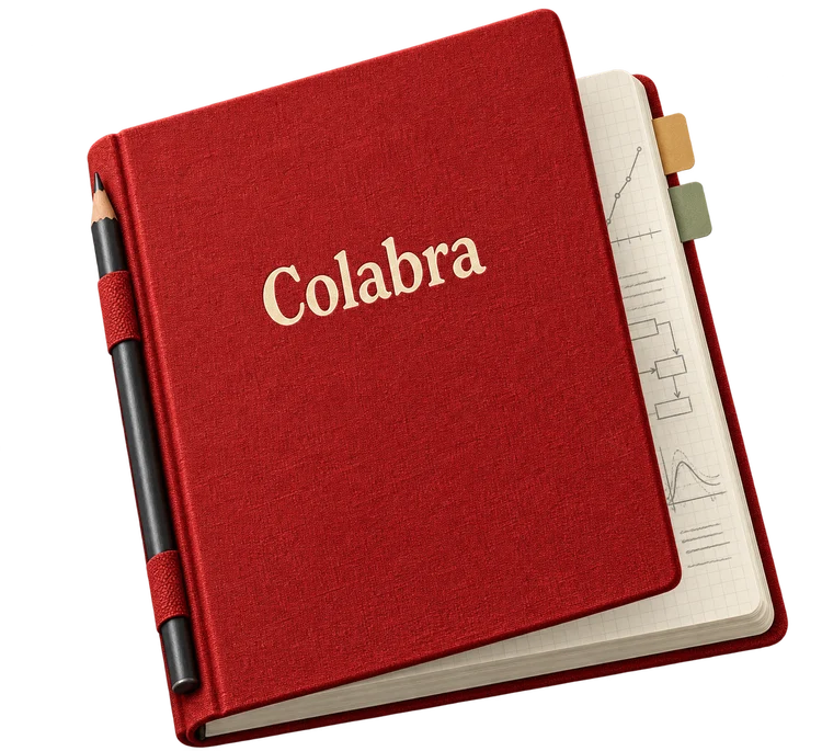 A red Colabra research notebook with graph paper, index tabs and a pencil