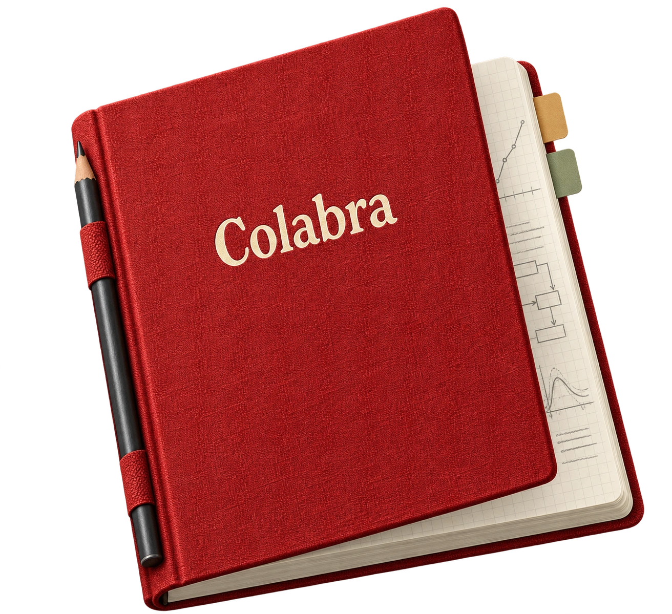 A red Colabra research notebook with graph paper, index tabs and a pencil