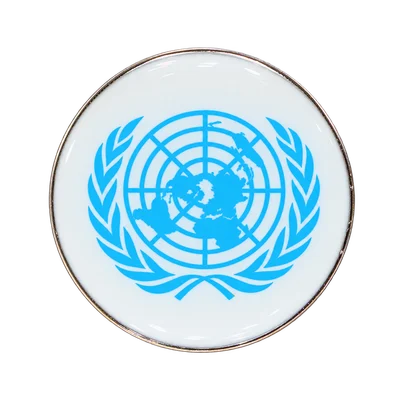 White enamel United Nations emblem pin