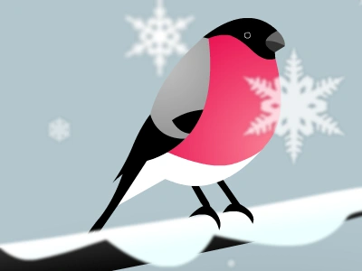 My original vector bullfinch illustration with snowflakes