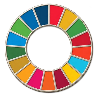 A small flat SDG pin with seventeen coloured enamel segments